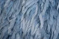 Арт. 2403 цв.Light Blue мех искусственный
